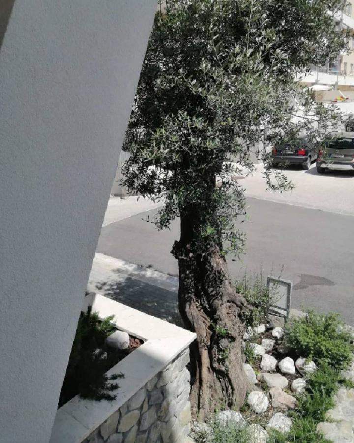 Appartamento Mondi Azzurri *